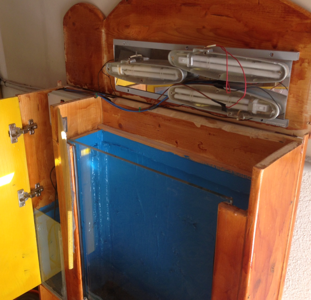 Maintenance Access